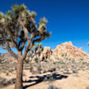 Meet your Posher, Zoe